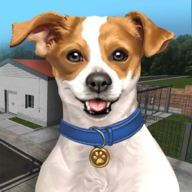 down Animal Shelter Simulator (Unlimited Money And Gems)