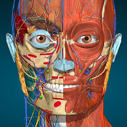 Anatomy Learning (Full version Unlocked) - Anatomy Learning mod apk full version unlocked download