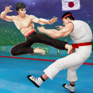 down Karate Fighter (Mod Menu)